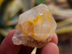 Natural Mixed Spirit Quartz Crystals x 140 From Boekenhouthoek, South Africa - Toprock Gemstones and Minerals 