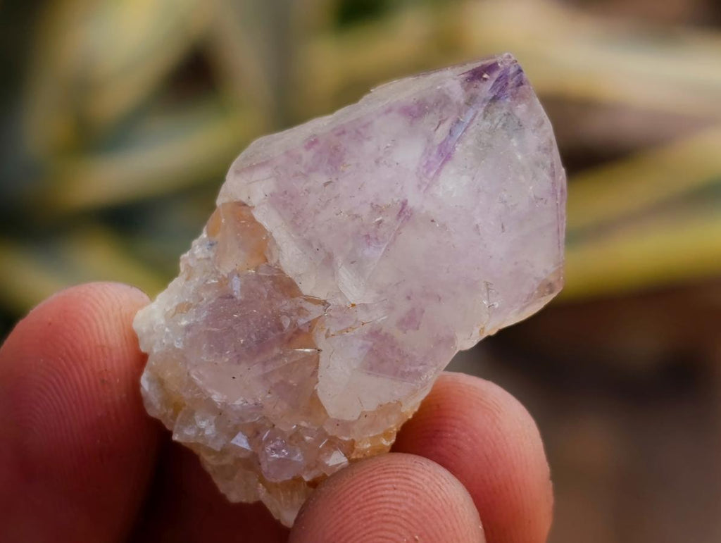 Natural Mixed Spirit Quartz Crystals x 140 From Boekenhouthoek, South Africa - Toprock Gemstones and Minerals 