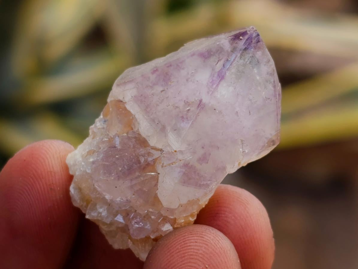 Natural Mixed Spirit Quartz Crystals x 140 From Boekenhouthoek, South Africa - Toprock Gemstones and Minerals 
