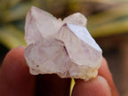 Natural Mixed Spirit Quartz Crystals x 140 From Boekenhouthoek, South Africa - Toprock Gemstones and Minerals 