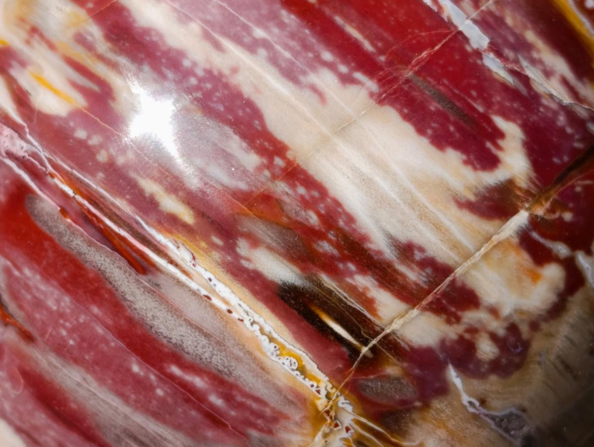 Polished Red Podocarpus Petrified Wood Spheres x 2 From Mahajanga, Madagascar - Toprock Gemstones and Minerals 