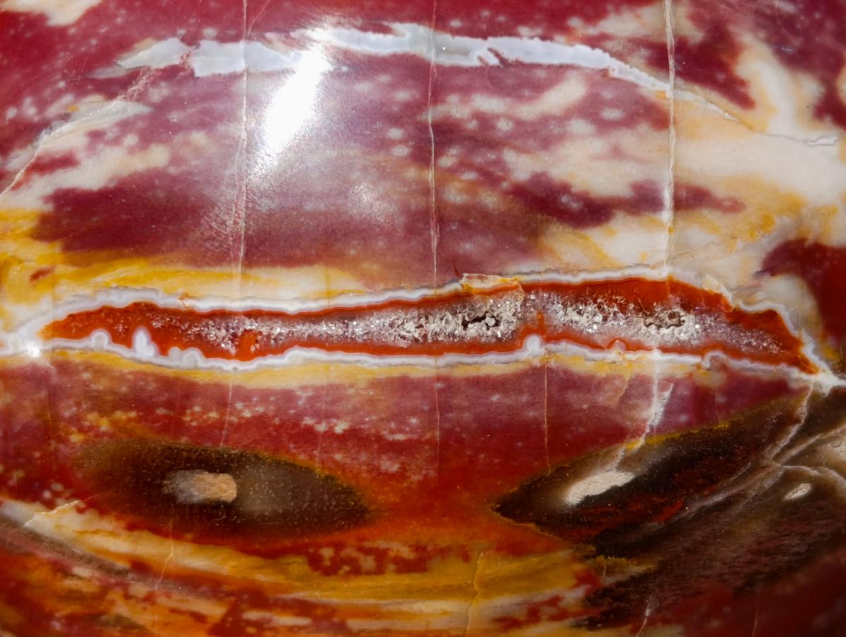 Polished Red Podocarpus Petrified Wood Spheres x 2 From Mahajanga, Madagascar - Toprock Gemstones and Minerals 