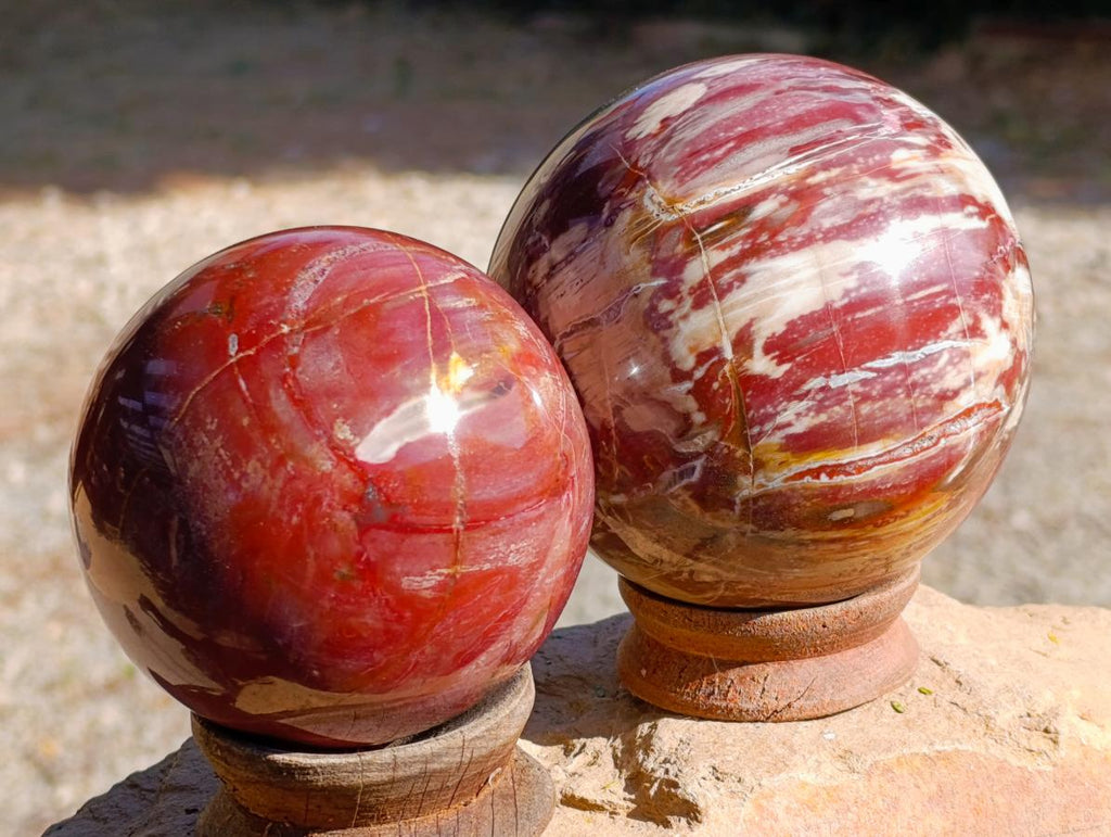 Polished Red Podocarpus Petrified Wood Spheres x 2 From Mahajanga, Madagascar - Toprock Gemstones and Minerals 