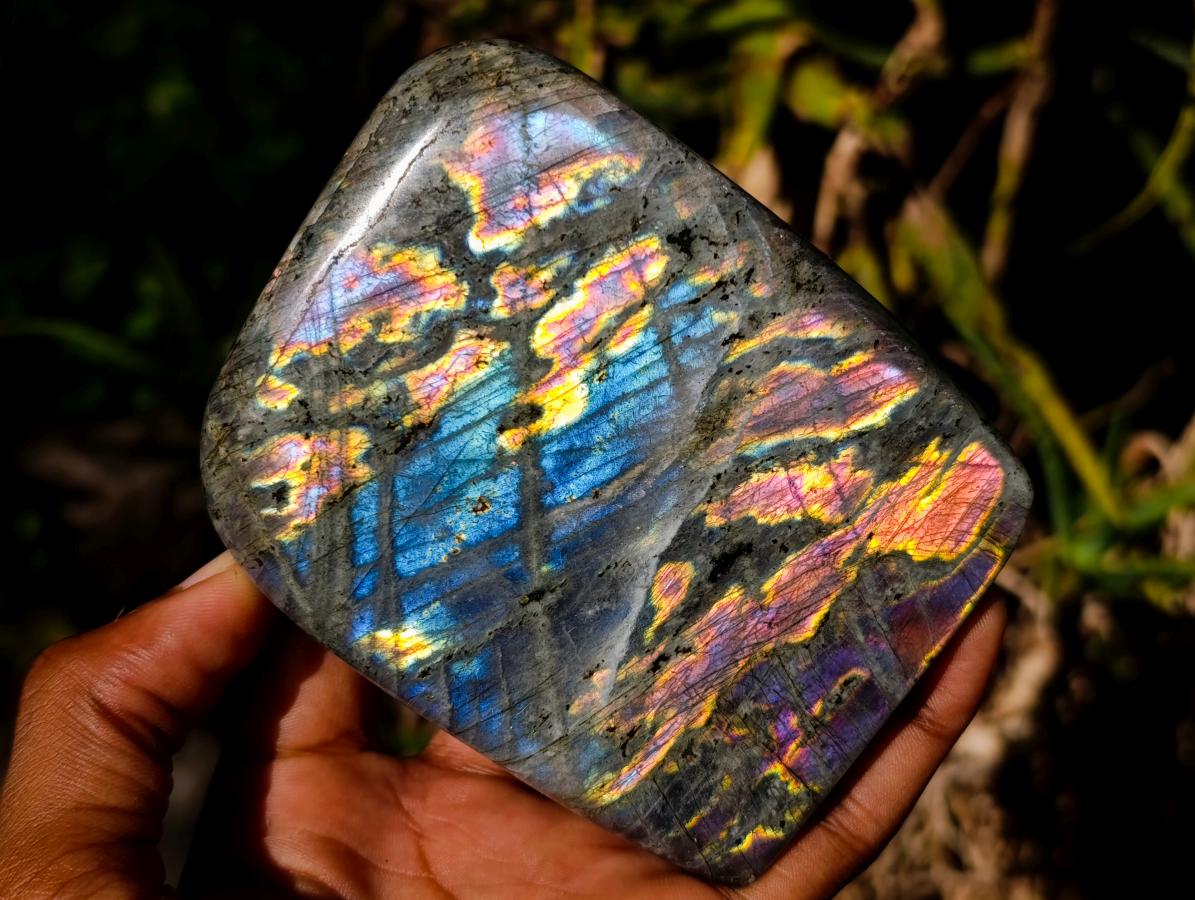 Natural Smokey Window Amethyst Crystals x 12 From Chiredzi, Zimbabwe - Toprock Gemstones and Minerals 