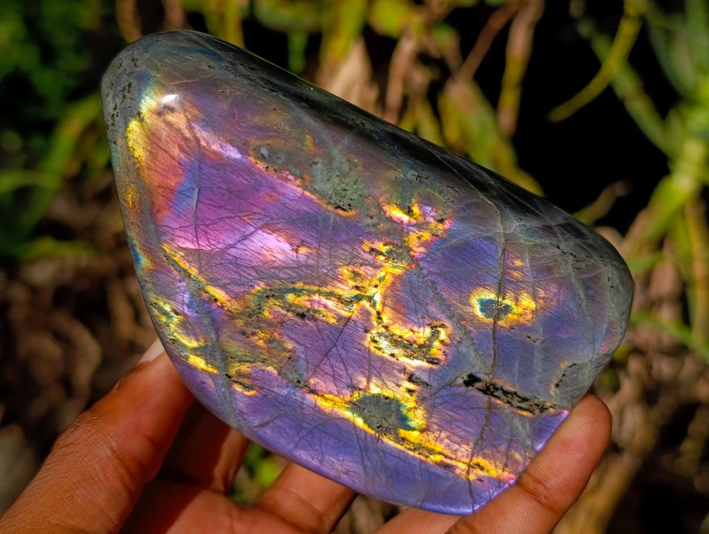 Natural Smokey Window Amethyst Crystals x 12 From Chiredzi, Zimbabwe - Toprock Gemstones and Minerals 