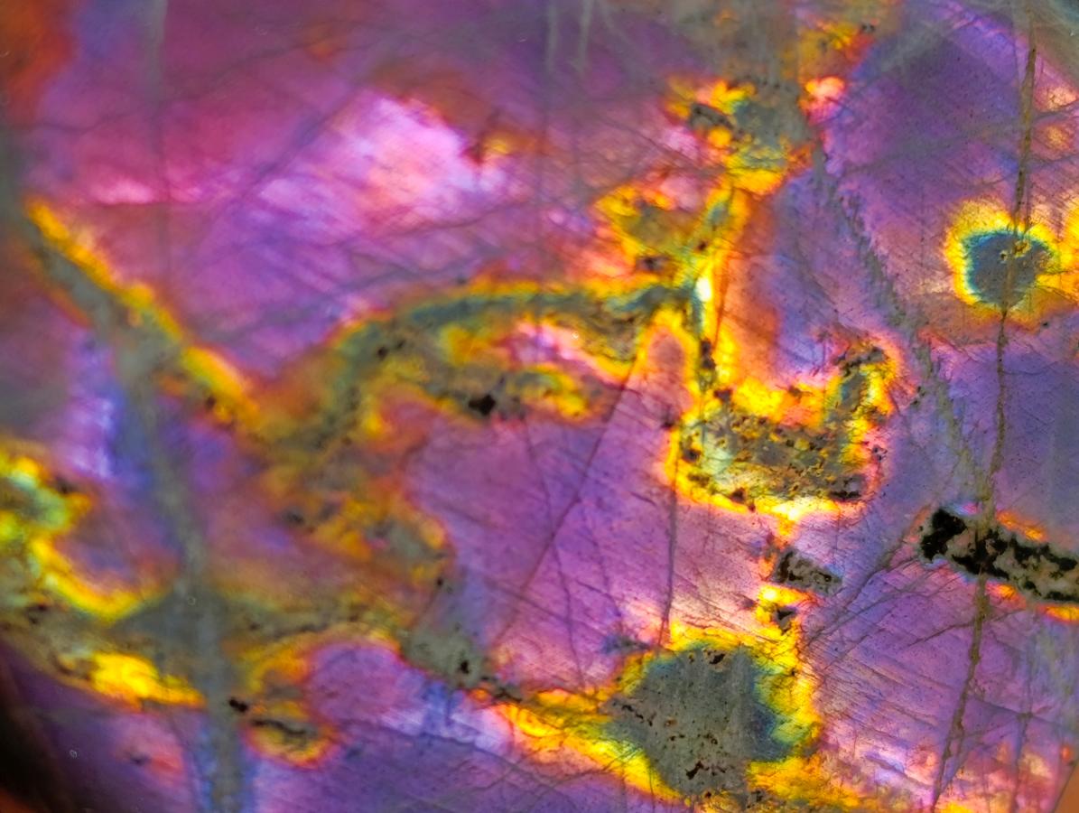 Natural Smokey Window Amethyst Crystals x 12 From Chiredzi, Zimbabwe - Toprock Gemstones and Minerals 