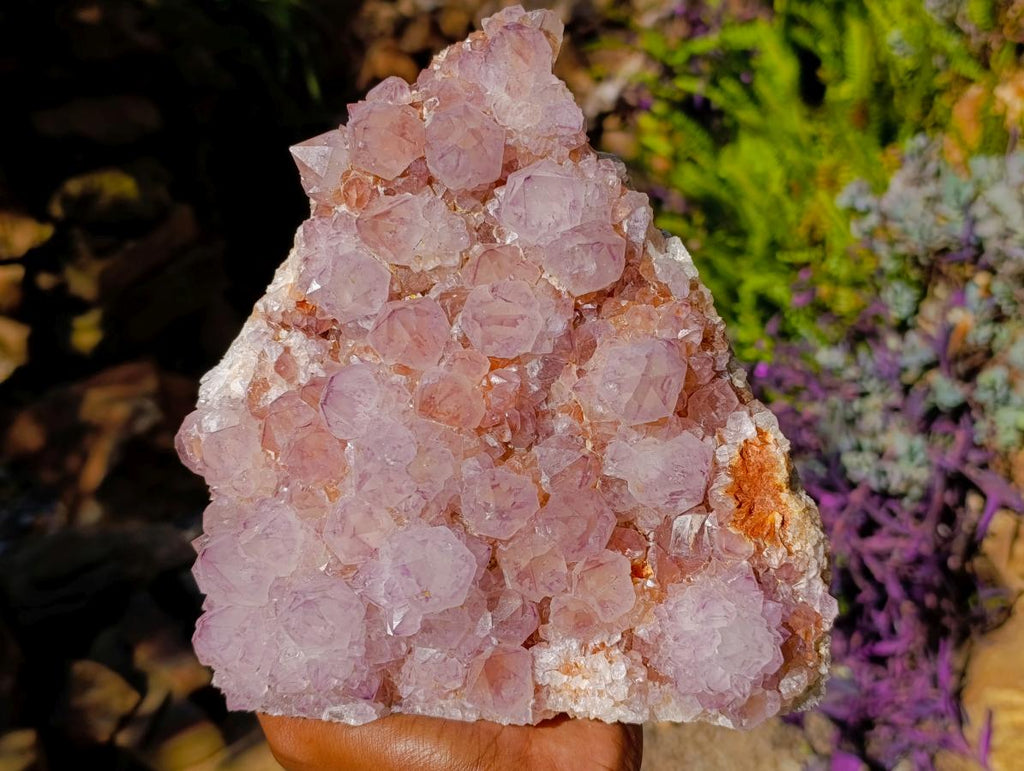 Natural Large Amethyst Spirit Quartz Cluster x 1 From Boekenhouthoek, South Africa - Toprock Gemstones and Minerals 