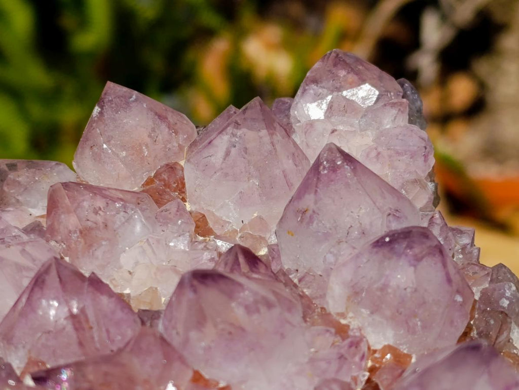 Natural Large Amethyst Spirit Quartz Cluster x 1 From Boekenhouthoek, South Africa - Toprock Gemstones and Minerals 
