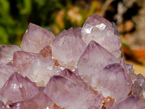 Natural Large Amethyst Spirit Quartz Cluster x 1 From Boekenhouthoek, South Africa - Toprock Gemstones and Minerals 