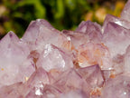 Natural Large Amethyst Spirit Quartz Cluster x 1 From Boekenhouthoek, South Africa - Toprock Gemstones and Minerals 