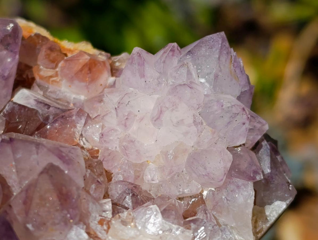 Natural Large Amethyst Spirit Quartz Cluster x 1 From Boekenhouthoek, South Africa - Toprock Gemstones and Minerals 