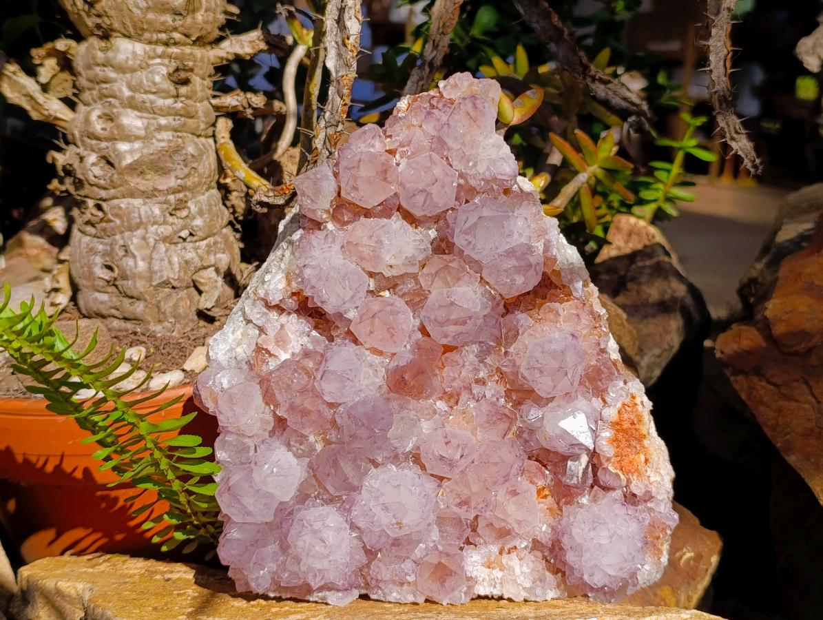 Natural Large Amethyst Spirit Quartz Cluster x 1 From Boekenhouthoek, South Africa - Toprock Gemstones and Minerals 
