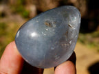 Polished Blue Celestite Free Forms x 20 From Sakoany, Madagascar - Toprock Gemstones and Minerals 