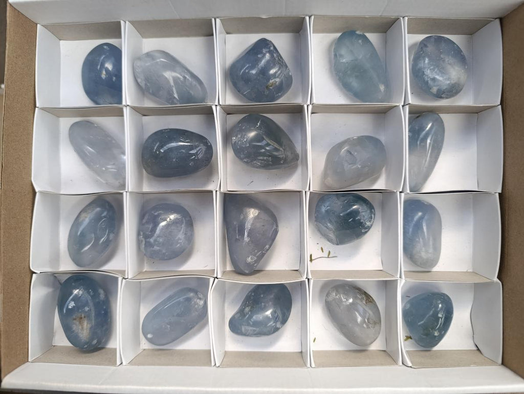 Polished Blue Celestite Free Forms x 20 From Sakoany, Madagascar - Toprock Gemstones and Minerals 