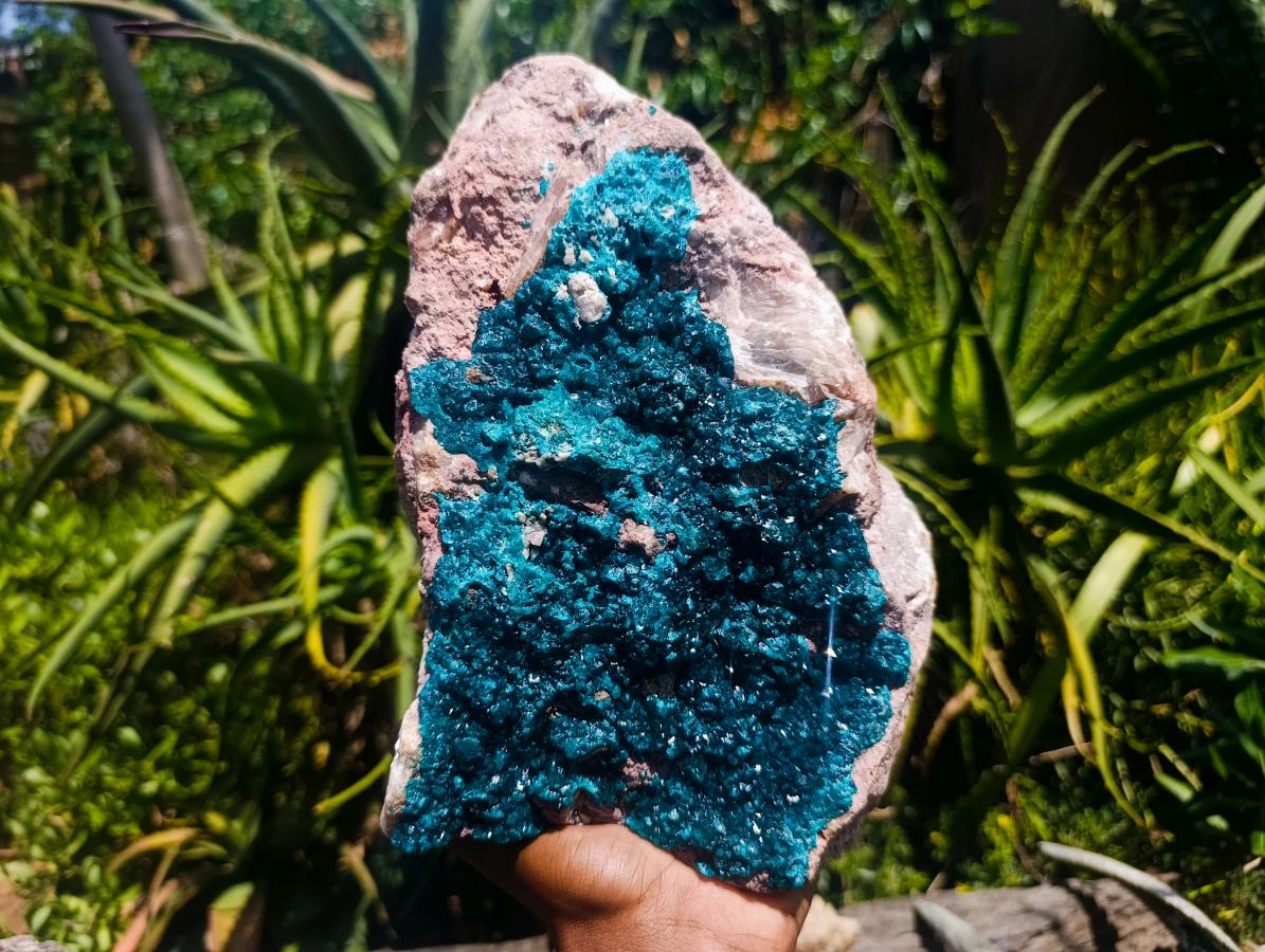 Natural XXL Dioptase on Dolomite Specimen x 1 From Tantara Mine, Congo - Toprock Gemstones and Minerals 