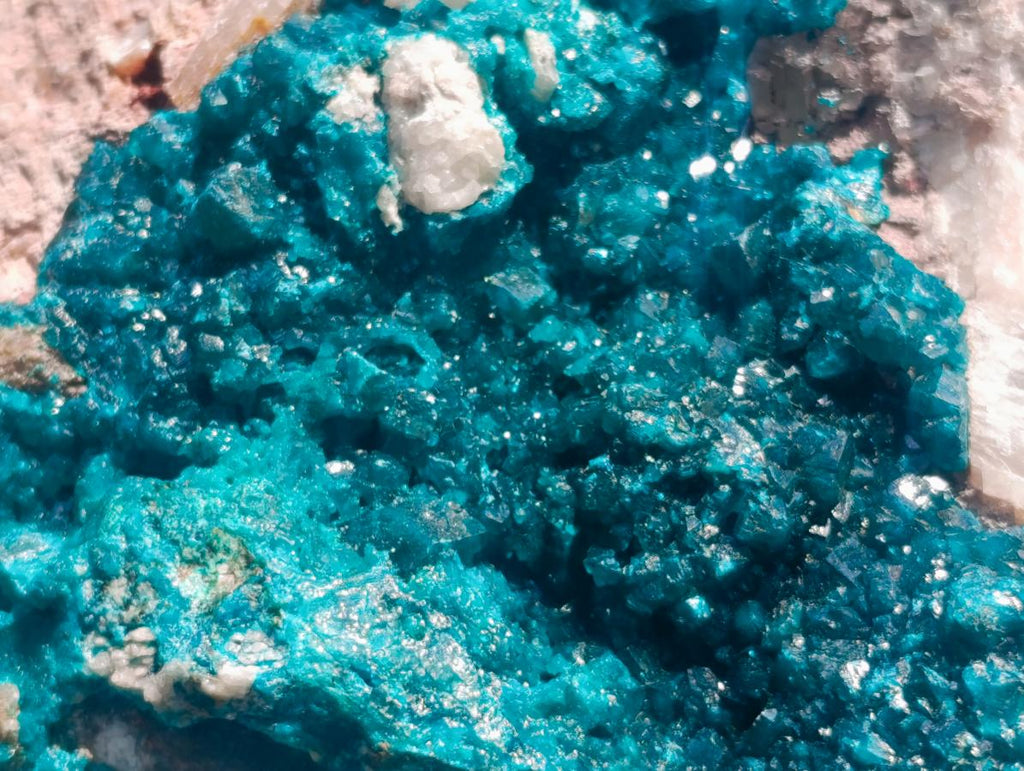 Natural XXL Dioptase on Dolomite Specimen x 1 From Tantara Mine, Congo - Toprock Gemstones and Minerals 
