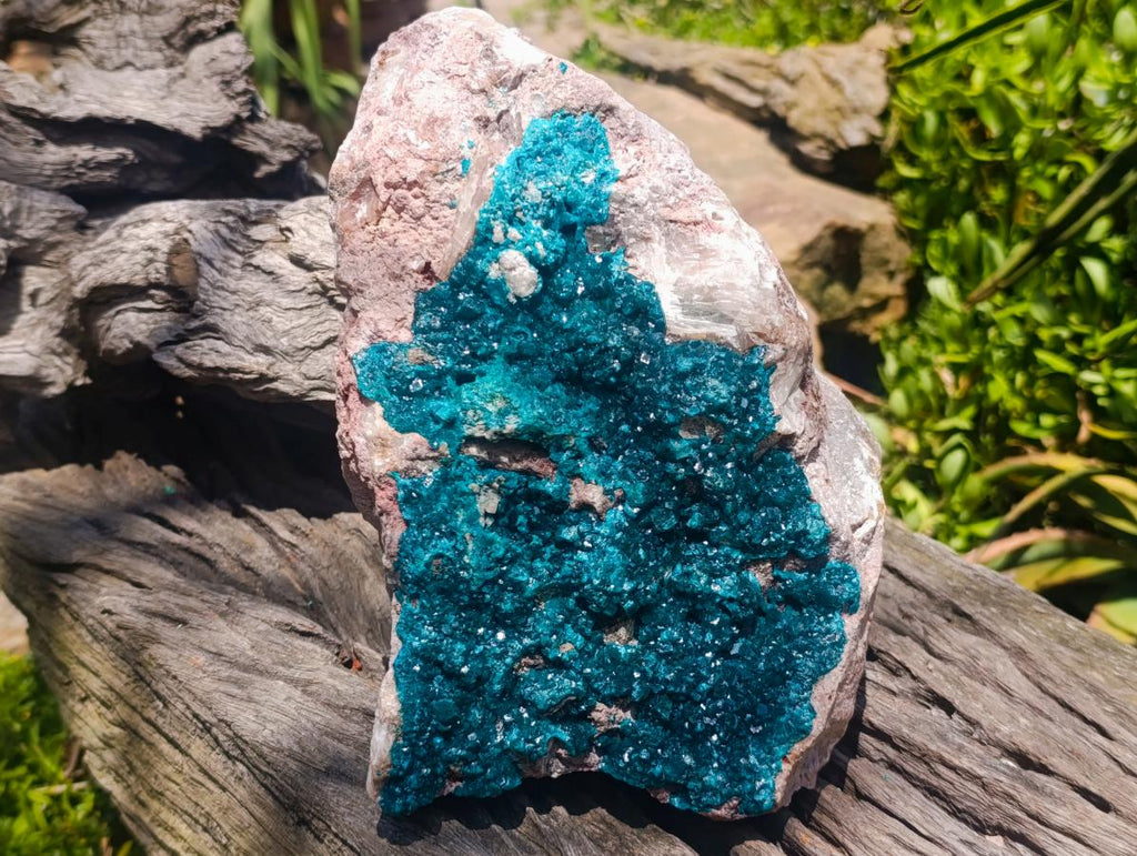 Natural XXL Dioptase on Dolomite Specimen x 1 From Tantara Mine, Congo - Toprock Gemstones and Minerals 