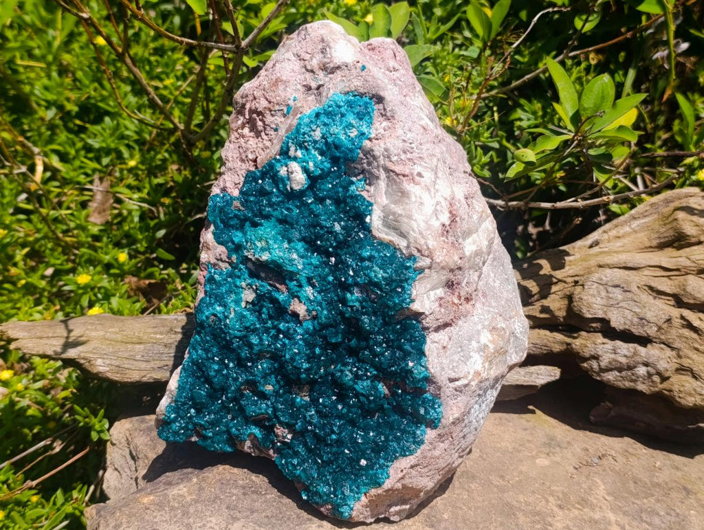 Natural XXL Dioptase on Dolomite Specimen x 1 From Tantara Mine, Congo - Toprock Gemstones and Minerals 