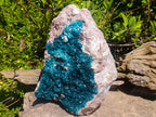 Natural XXL Dioptase on Dolomite Specimen x 1 From Tantara Mine, Congo - Toprock Gemstones and Minerals 