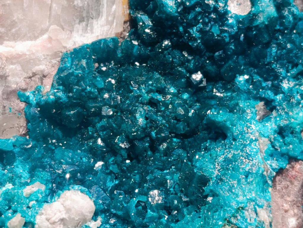 Natural XXL Dioptase on Dolomite Specimen x 1 From Tantara Mine, Congo - Toprock Gemstones and Minerals 