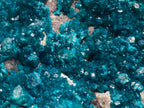 Natural XXL Dioptase on Dolomite Specimen x 1 From Tantara Mine, Congo - Toprock Gemstones and Minerals 