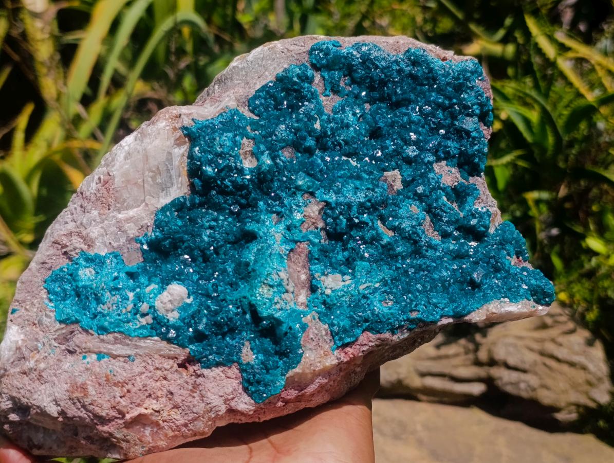 Natural XXL Dioptase on Dolomite Specimen x 1 From Tantara Mine, Congo - Toprock Gemstones and Minerals 