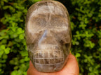 Hand Made XL Smokey Quartz Skull x 1 From Madagascar - Toprock Gemstones and Minerals 