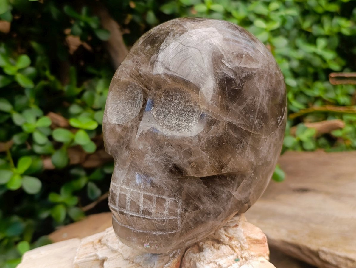 Hand Made XL Smokey Quartz Skull x 1 From Madagascar - Toprock Gemstones and Minerals 