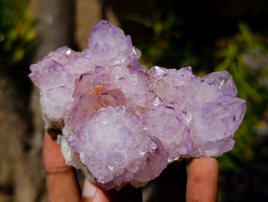 Natural Gemmy Amethyst Spirit Quartz Clusters x 4 From Boekenhouthoek, South Africa - Toprock Gemstones and Minerals 