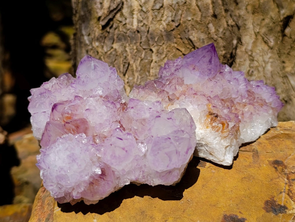 Natural Gemmy Amethyst Spirit Quartz Clusters x 4 From Boekenhouthoek, South Africa - Toprock Gemstones and Minerals 