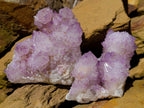 Natural Gemmy Amethyst Spirit Quartz Clusters x 4 From Boekenhouthoek, South Africa - Toprock Gemstones and Minerals 