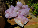 Natural Gemmy Amethyst Spirit Quartz Clusters x 4 From Boekenhouthoek, South Africa - Toprock Gemstones and Minerals 