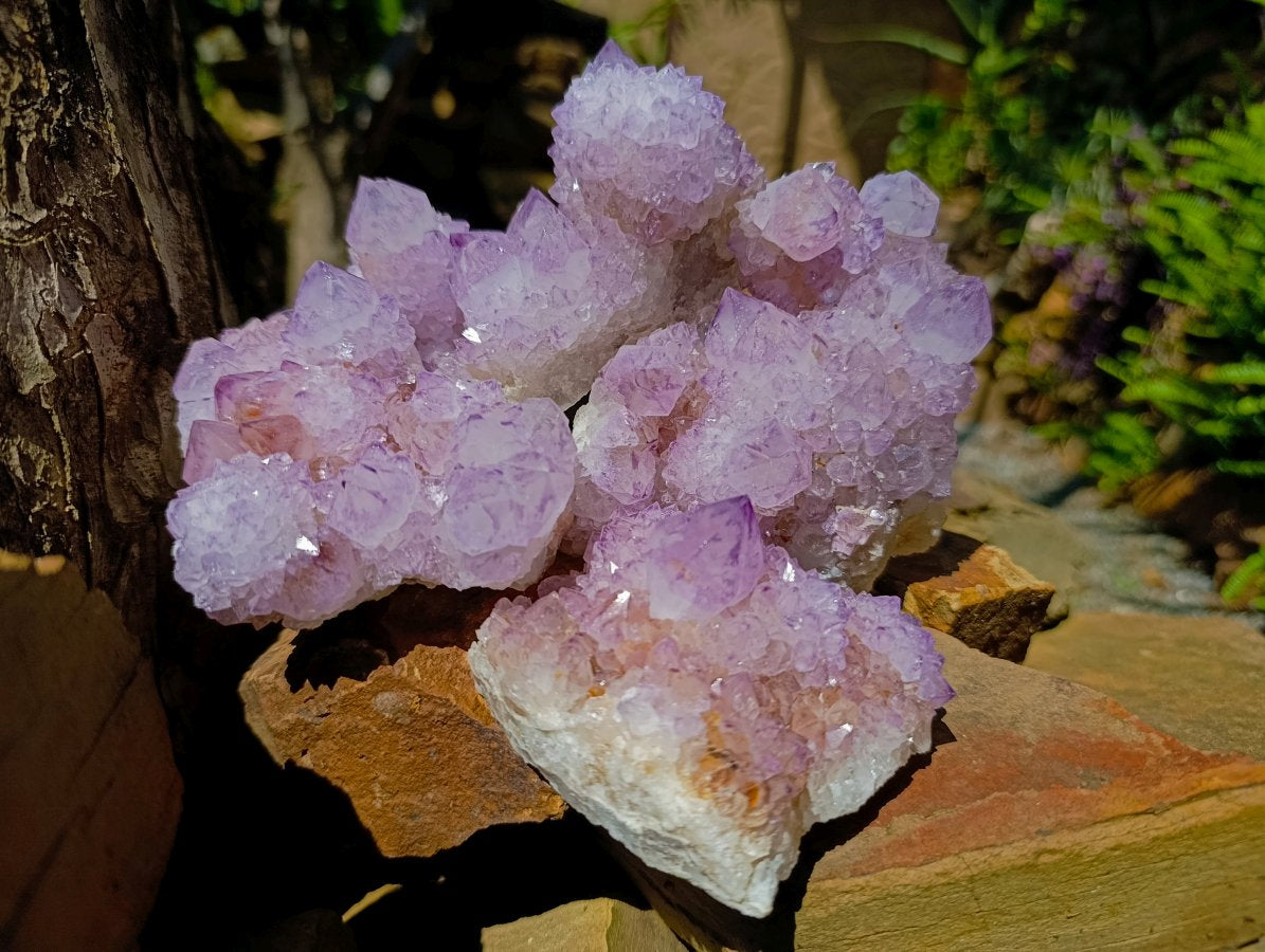 Natural Gemmy Amethyst Spirit Quartz Clusters x 4 From Boekenhouthoek, South Africa - Toprock Gemstones and Minerals 