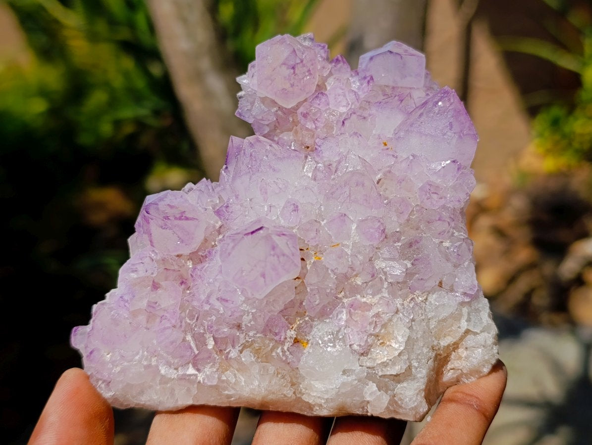 Natural Gemmy Amethyst Spirit Quartz Clusters x 4 From Boekenhouthoek, South Africa - Toprock Gemstones and Minerals 