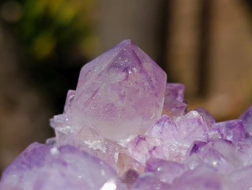 Natural Gemmy Amethyst Spirit Quartz Clusters x 4 From Boekenhouthoek, South Africa - Toprock Gemstones and Minerals 