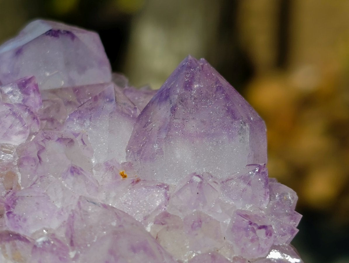 Natural Gemmy Amethyst Spirit Quartz Clusters x 4 From Boekenhouthoek, South Africa - Toprock Gemstones and Minerals 