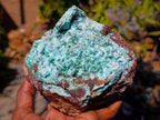 Natural Large Drusy Coated Chrysocolla with Malachite Specimen x 1 From Lupoto Mine, Congo - Toprock Gemstones and Minerals 