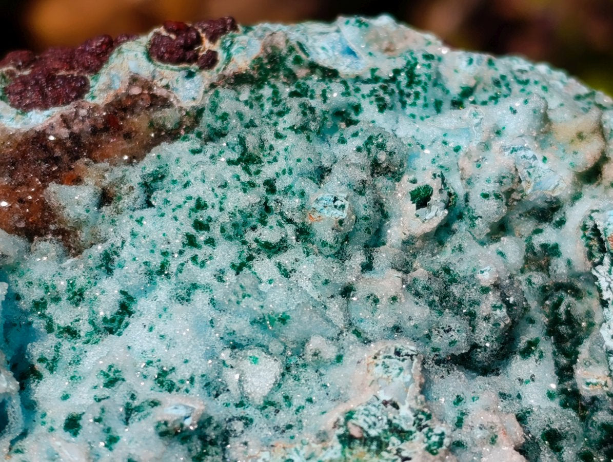 Natural Large Drusy Coated Chrysocolla with Malachite Specimen x 1 From Lupoto Mine, Congo - Toprock Gemstones and Minerals 