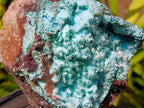 Natural Large Drusy Coated Chrysocolla with Malachite Specimen x 1 From Lupoto Mine, Congo - Toprock Gemstones and Minerals 