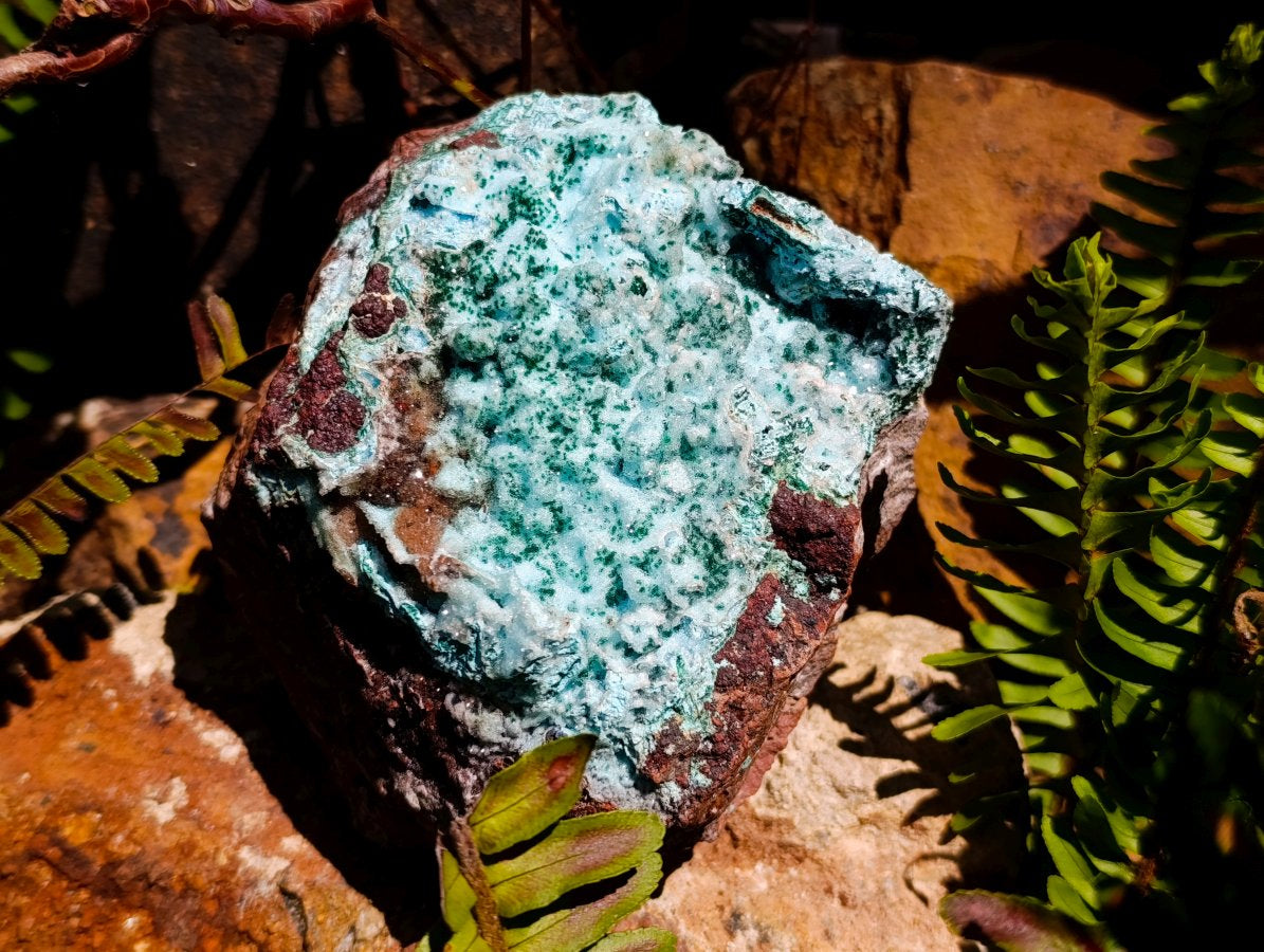 Natural Large Drusy Coated Chrysocolla with Malachite Specimen x 1 From Lupoto Mine, Congo - Toprock Gemstones and Minerals 