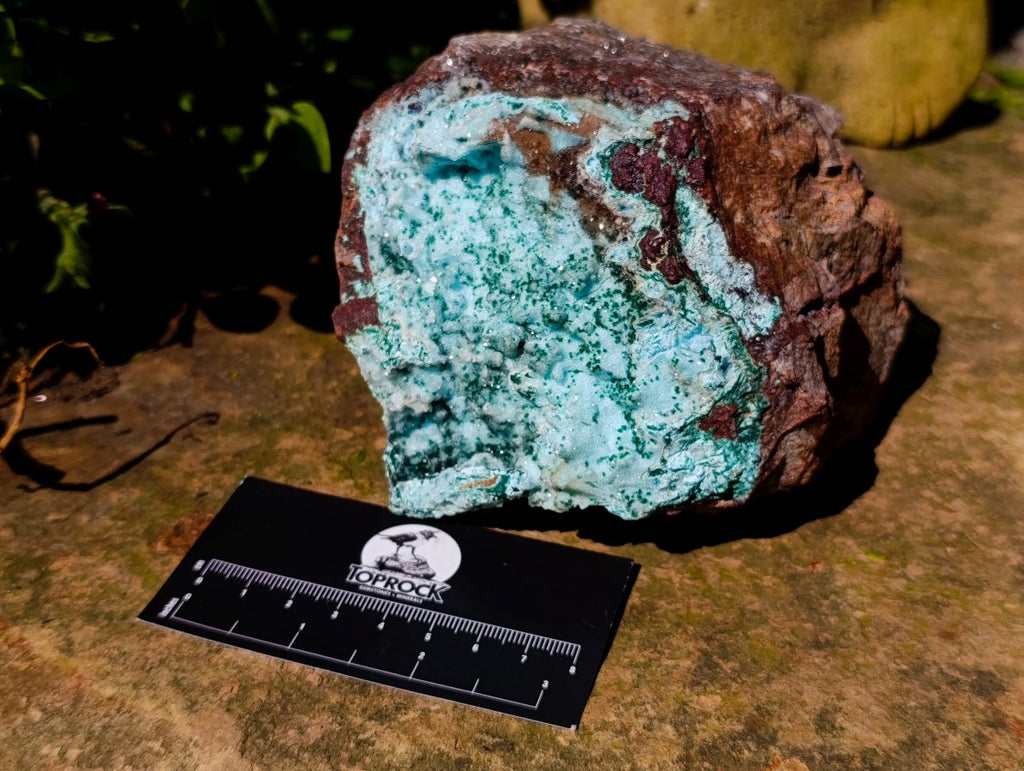 Natural Large Drusy Coated Chrysocolla with Malachite Specimen x 1 From Lupoto Mine, Congo - Toprock Gemstones and Minerals 