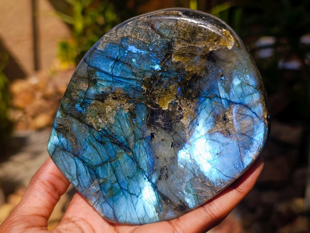 Polished Labradorite Standing Free Forms x 2 From Madagascar - Toprock Gemstones and Minerals 