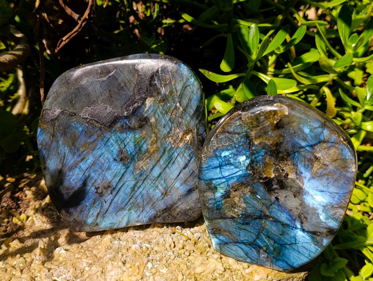 Polished Labradorite Standing Free Forms x 2 From Madagascar - Toprock Gemstones and Minerals 
