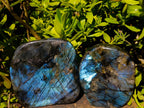 Polished Labradorite Standing Free Forms x 2 From Madagascar - Toprock Gemstones and Minerals 