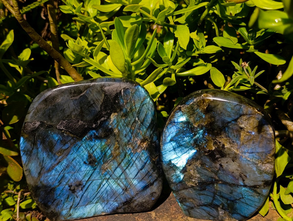 Polished Labradorite Standing Free Forms x 2 From Madagascar - Toprock Gemstones and Minerals 