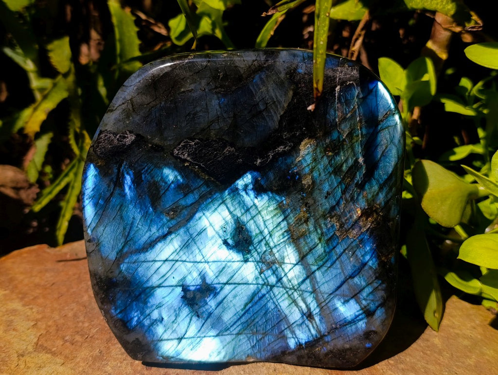 Polished Labradorite Standing Free Forms x 2 From Madagascar - Toprock Gemstones and Minerals 
