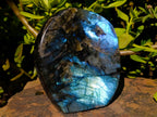 Polished Labradorite Standing Free Forms x 2 From Madagascar - Toprock Gemstones and Minerals 