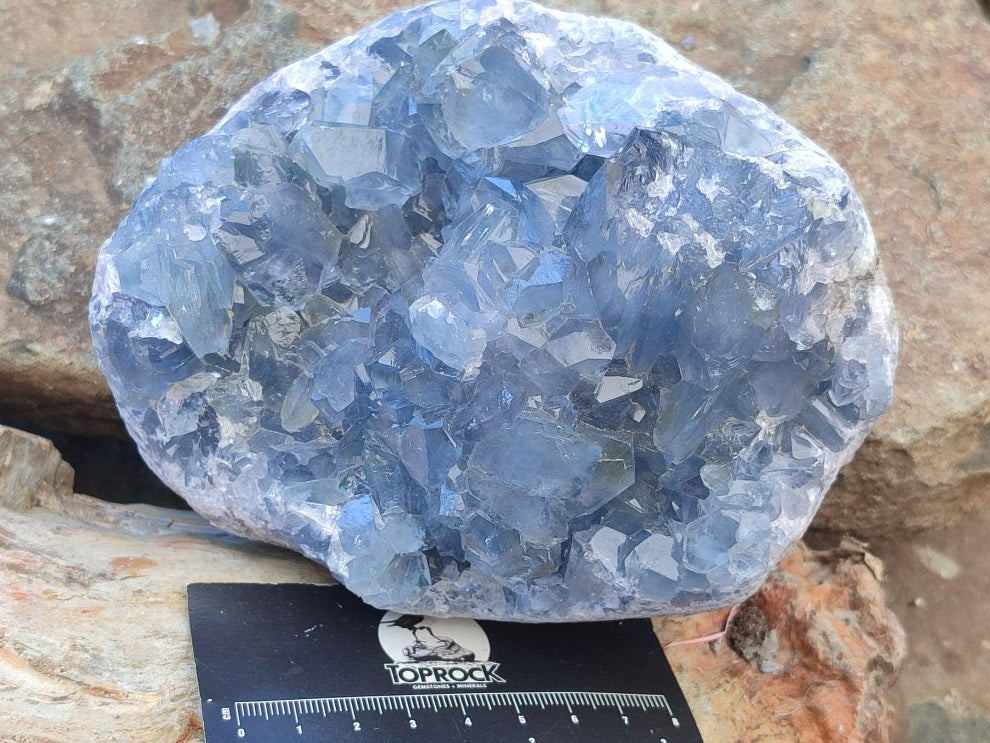 Natural Blue Celestite Geode Cluster Specimens x 2 From Sakoany, Madagascar - Toprock Gemstones and Minerals 