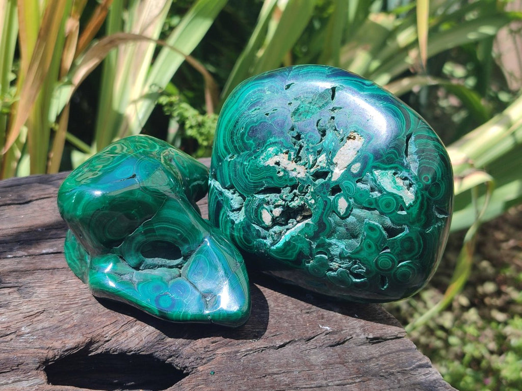 Polished Flower Banded Malachite Free Forms x 2 From Congo - Toprock Gemstones and Minerals 