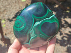 Polished Flower Banded Malachite Free Forms x 2 From Congo - Toprock Gemstones and Minerals 